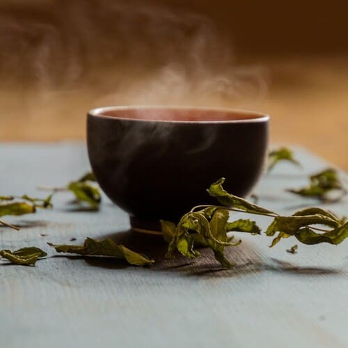 infusions chaude plantes.jpg1