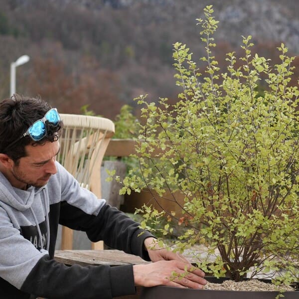 WhatsApp Image 2026-04-10 at 17.23.32 (1)