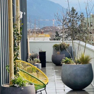 WhatsApp Image 2026-01-09 at 12.10.04 (2) (1)