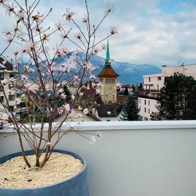 WhatsApp Image 2026-01-28 at 16.15.28 (2) (1)